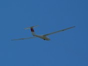 4-dsc_5823