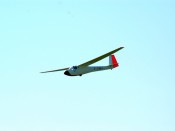 5-dsc_6391