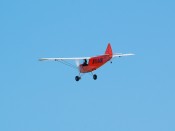 2-dsc_6521