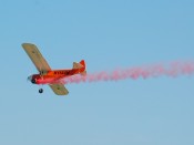 7-dsc_6544