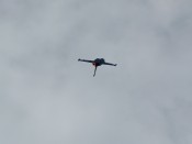 01-dsc_5893