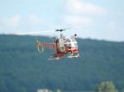 12-dsc_6164
