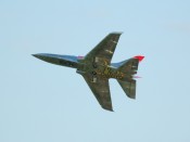 10-dsc_6215