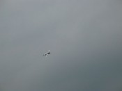img_1209