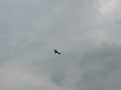 img_1220