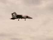 115-p1000569