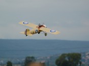 13-dsc_5725