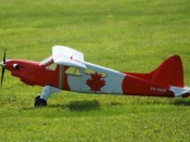 222-dsc_2864