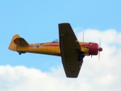 257-dsc_2918